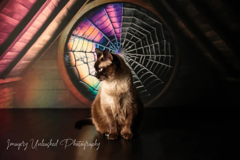 Kate Spooky Halloween Dachboden Dorm Zimmer bunte Spinnennetz Fenster Hintergrund von Mini MakeBelieve - Kate Backdrop.de