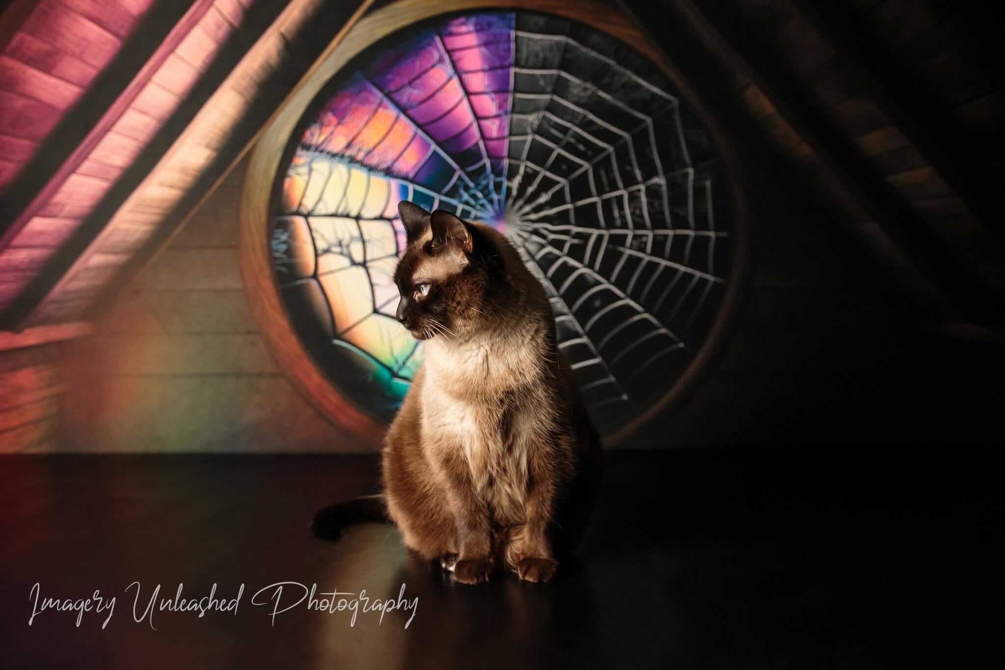 Kate Gruseliges Halloween Dachboden Bunte Spinnweben Fleece Hintergrund Entworfen von Mini MakeBelieve - Kate Backdrop.de