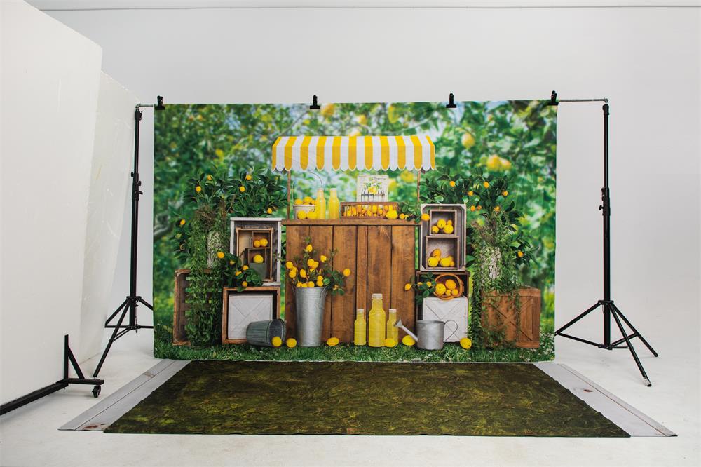 Kate Sommer Zitronenstand Außen Hintergrund von Emetselch - Kate Backdrop.de