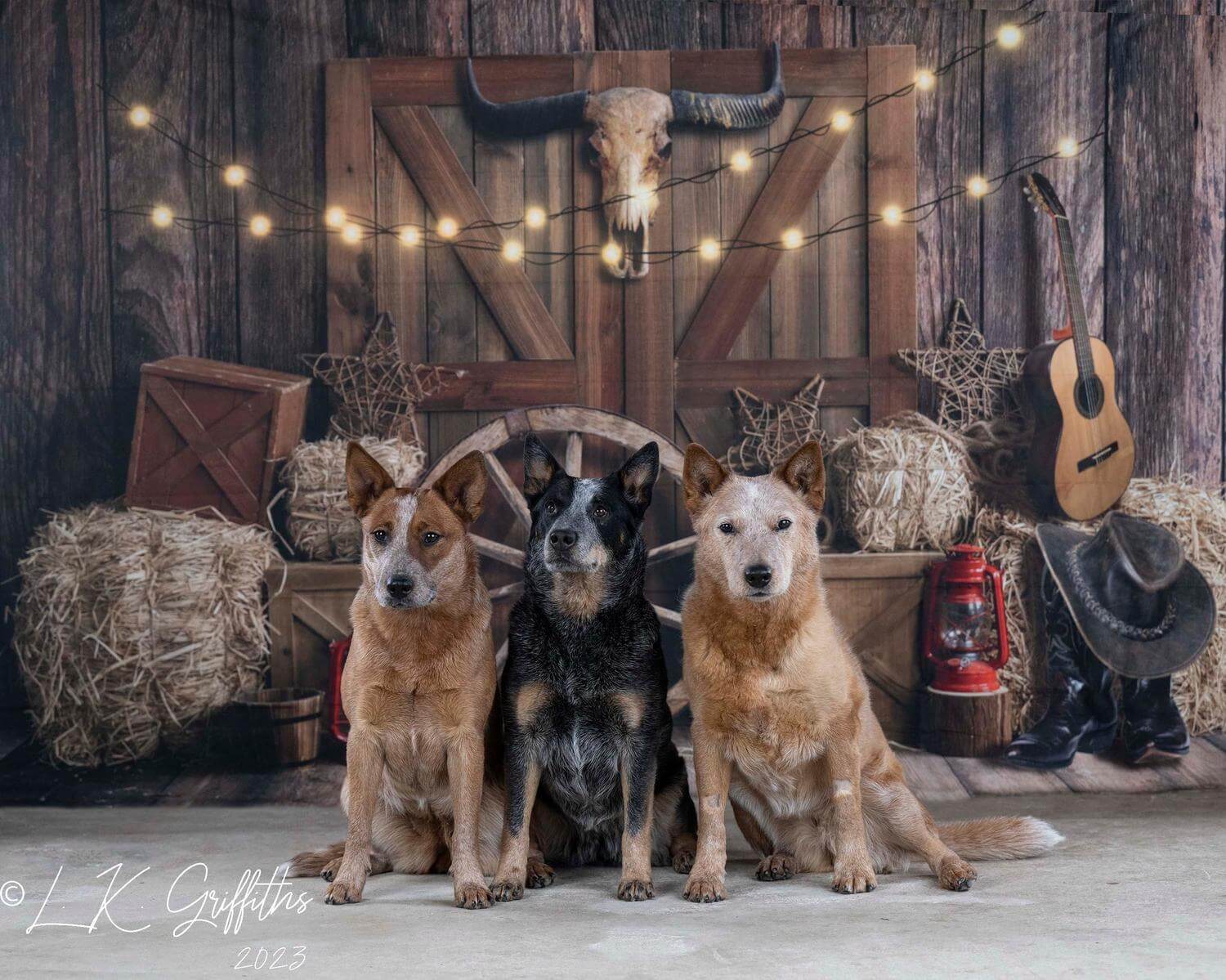 Kate Cowboy Bauernhof Hintergrund entworfen von Emetselch - Kate Backdrop.de