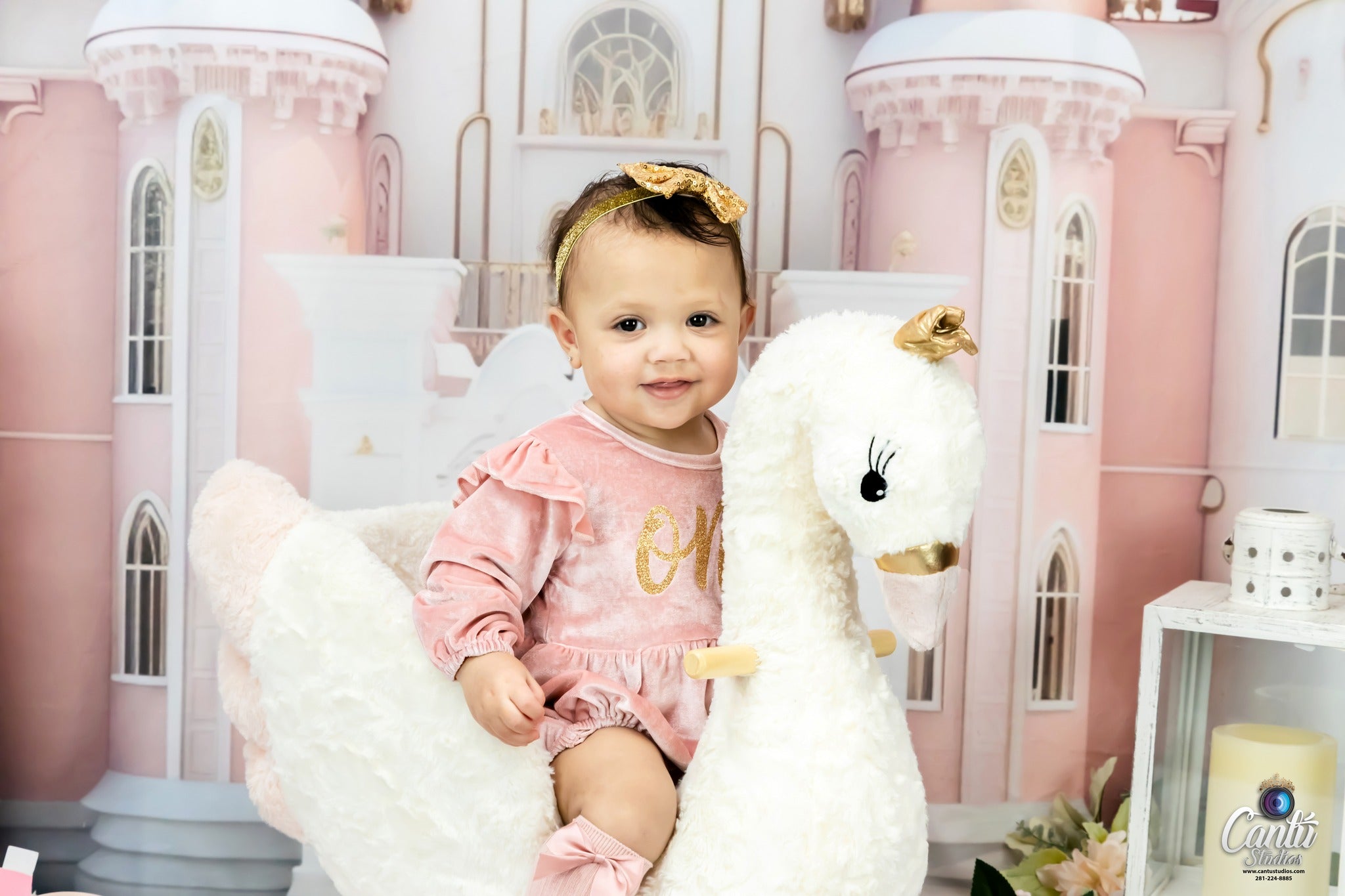 Kate Rosa Prinzessin Schloss Geburtstag Hintergrund von Ashley Paul - Kate Backdrop.de