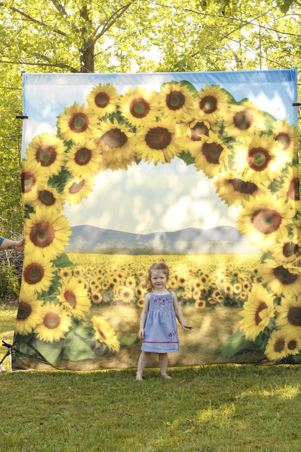 Kate Malerischer Sonnenblumenfeldbogen mit Bodenhintergrund von Mini MakeBelieve - Kate Backdrop.de