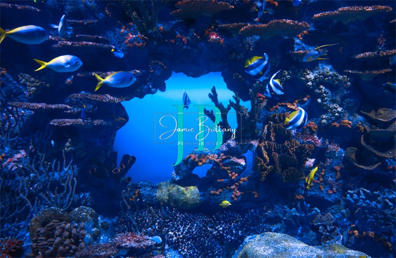 Kate Sommer unter dem Meer Hintergrund von JB Fotografie - Kate Backdrop.de