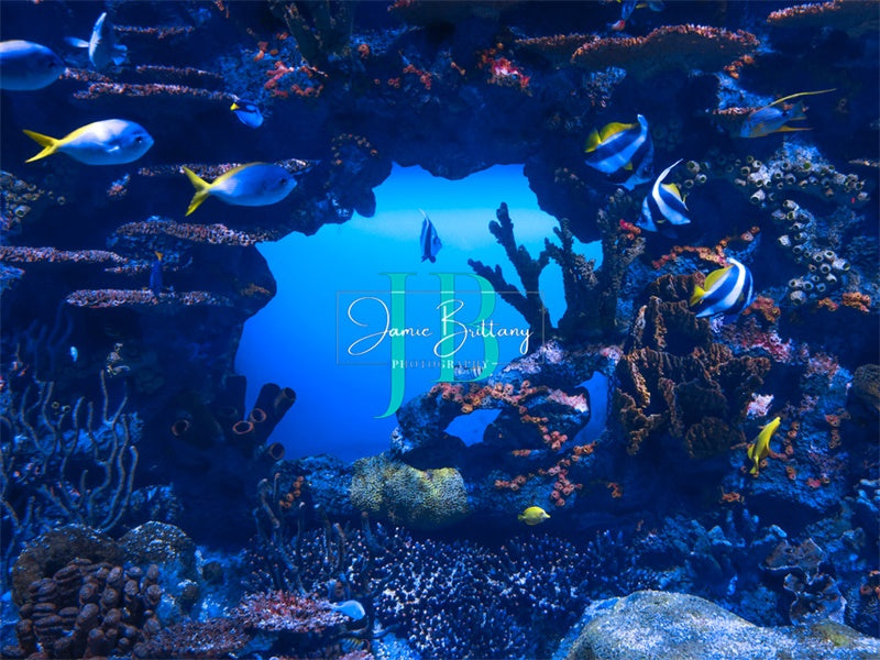 Kate Sommer unter dem Meer Hintergrund von JB Fotografie - Kate Backdrop.de