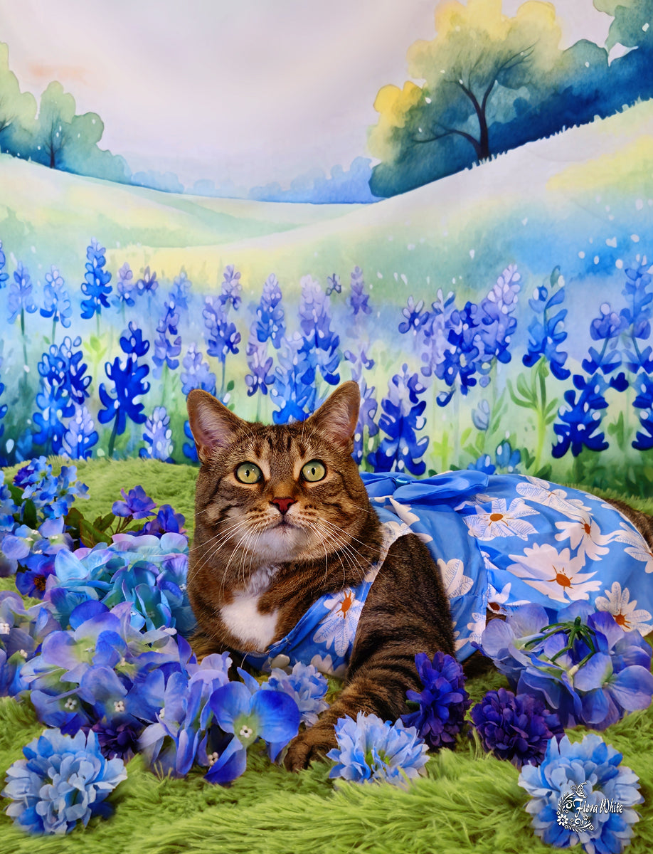 Kate Blühende Bluebonnets Floral Field Hintergrund von Patty Roberts - Kate Backdrop.de