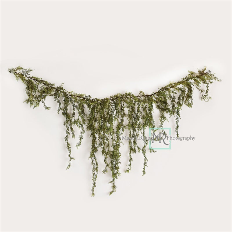 Kate Frühling/Sommer Rebengirlande auf weißem Hintergrund von Mandy Ringe Photography - Kate Backdrop.de