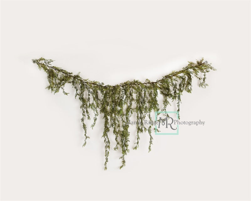 Kate Frühling/Sommer Rebengirlande auf weißem Hintergrund von Mandy Ringe Photography - Kate Backdrop.de