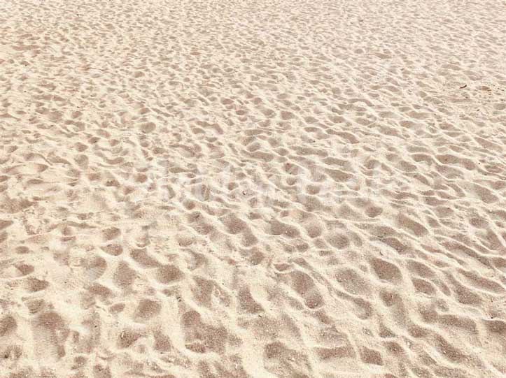 Kate Sommer Sandstrand Hintergrund von Ashley Paul - Kate Backdrop.de