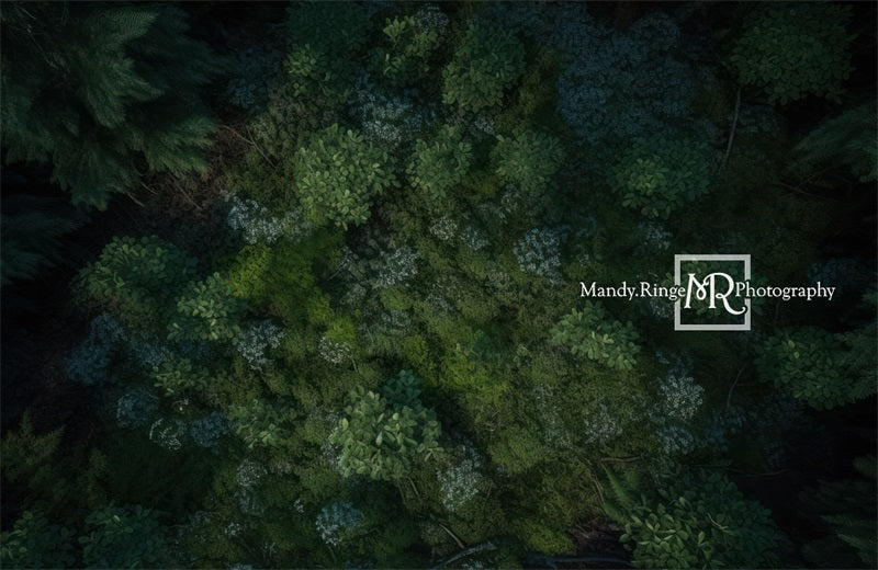 Kate Grüner Waldboden bei Nacht Hintergrund von Mandy Ringe Fotograf