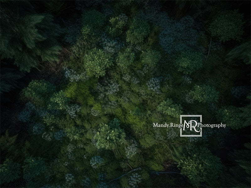 Kate Grüner Waldboden bei Nacht Hintergrund von Mandy Ringe Fotograf