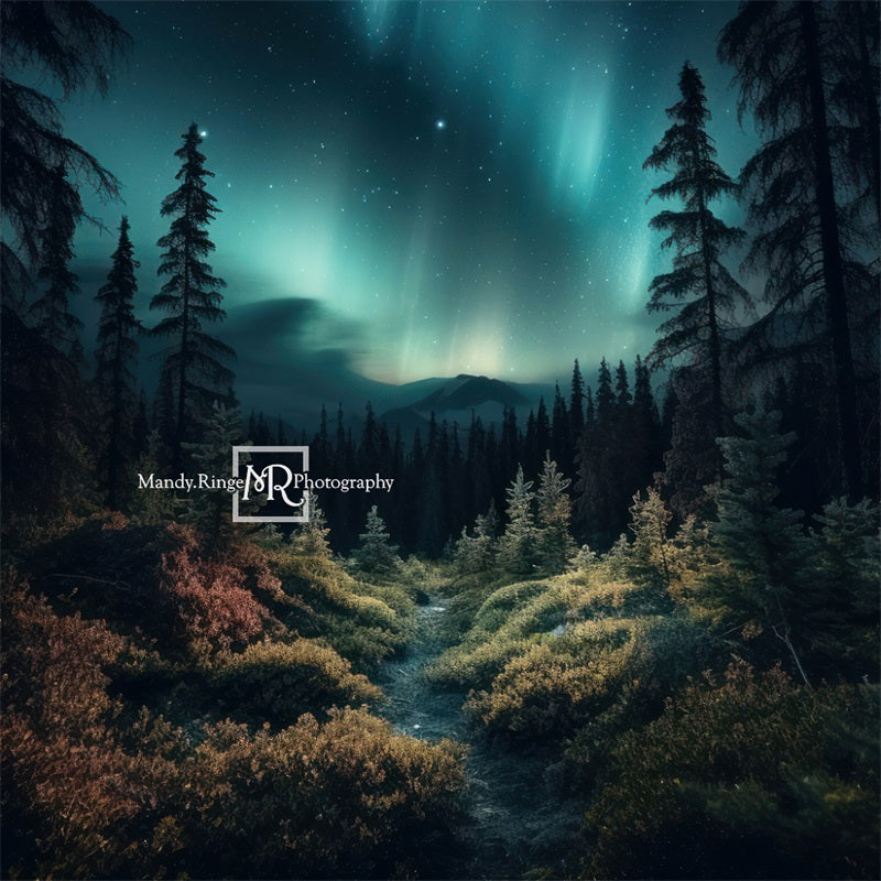 Kate Wald mit Northern Lights Hintergrund von Mandy Ringe Fotograf