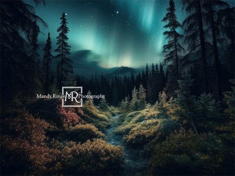 Kate Wald mit Northern Lights Hintergrund von Mandy Ringe Fotograf