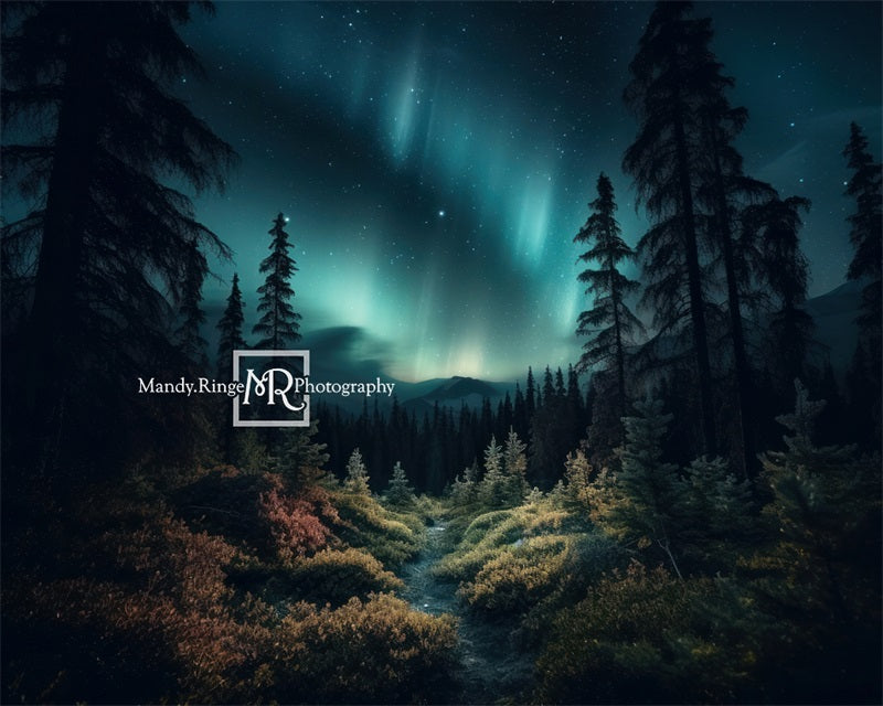 Kate Wald mit Northern Lights Hintergrund von Mandy Ringe Fotograf