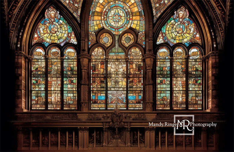 Kate Gotische gewölbte Glasmalerei Fenster Hintergrund von Mandy Ringe Fotograf - Kate Backdrop.de