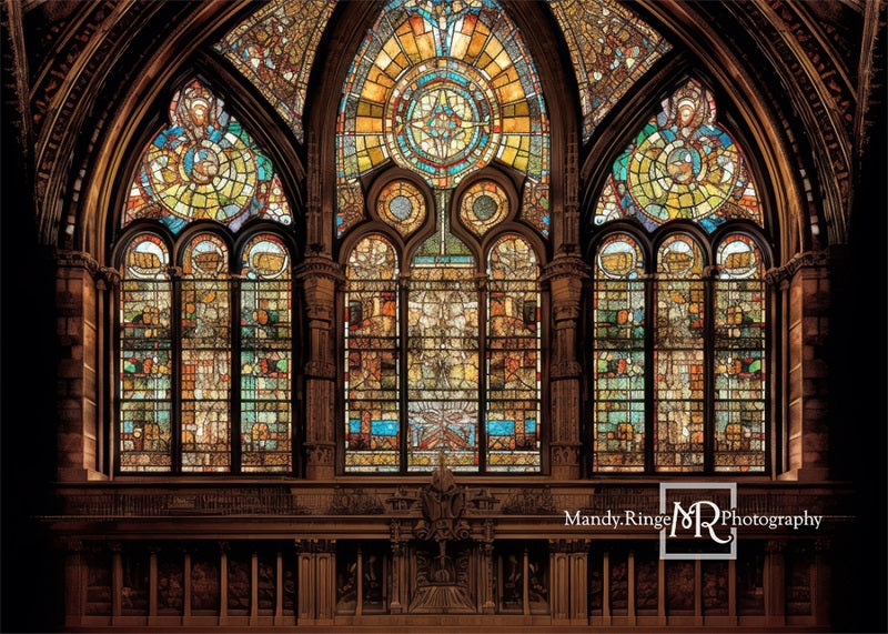 Kate Gotische gewölbte Glasmalerei Fenster Hintergrund von Mandy Ringe Fotograf - Kate Backdrop.de