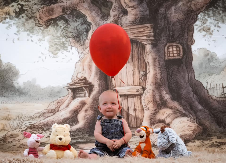 Kate Hundert Acre Holz Baum Kuchen Smash Hintergrund von Mandy Ringe Fotograf - Kate Backdrop.de