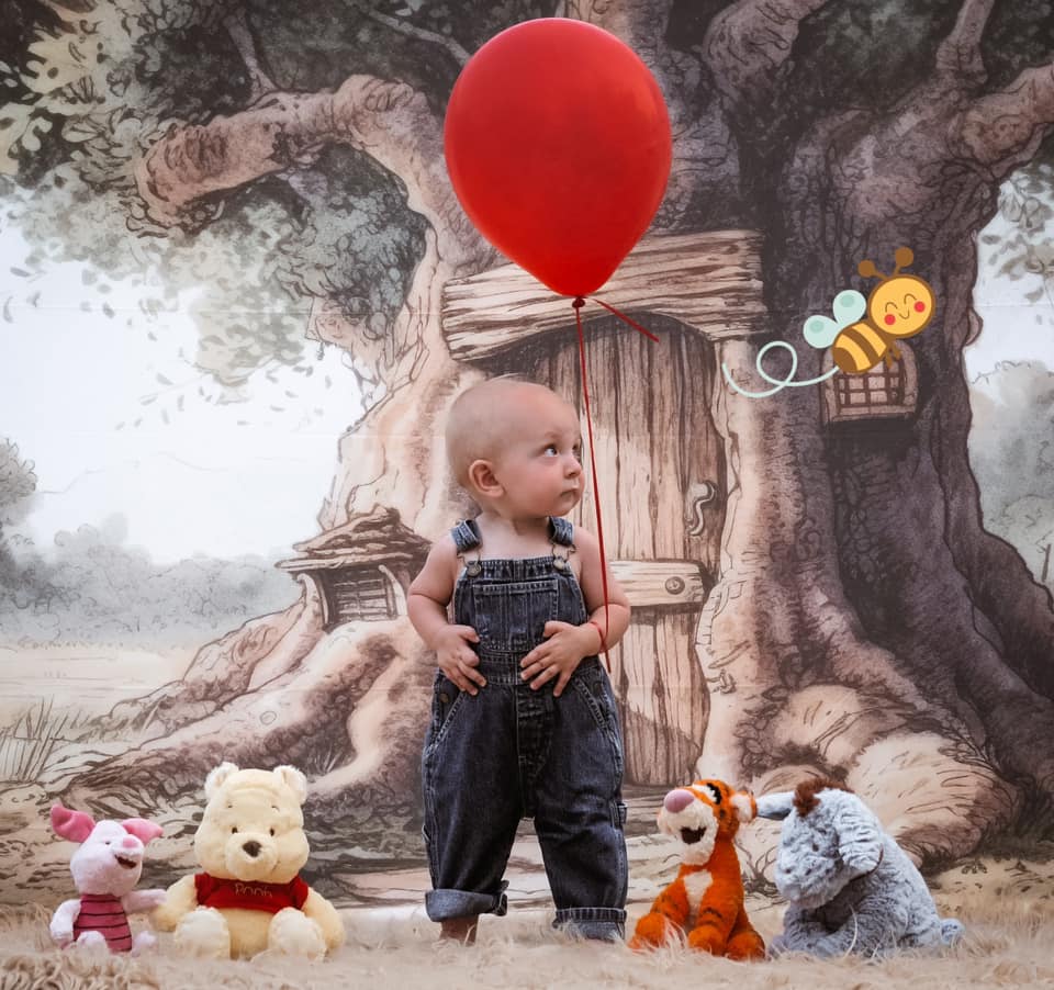 Kate Hundert Acre Holz Baum Kuchen Smash Hintergrund von Mandy Ringe Fotograf - Kate Backdrop.de