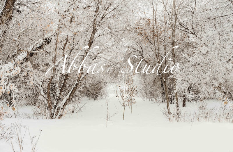 Kate Weihnachten Winter im Freien Birkenhintergrund von Abbas Studio