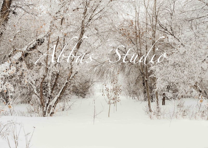 Kate Weihnachten Winter im Freien Birkenhintergrund von Abbas Studio - Kate Backdrop.de