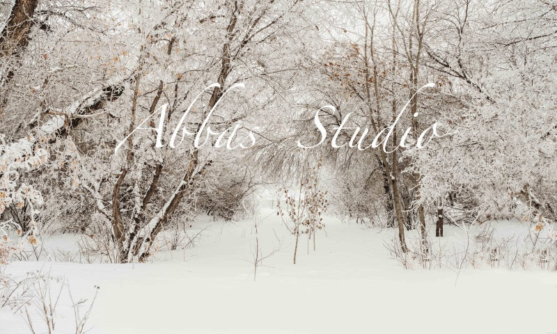 Kate Weihnachten Winter im Freien Birkenhintergrund von Abbas Studio