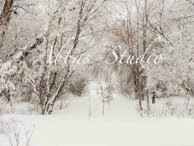 Kate Weihnachten Winter im Freien Birkenhintergrund von Abbas Studio - Kate Backdrop.de