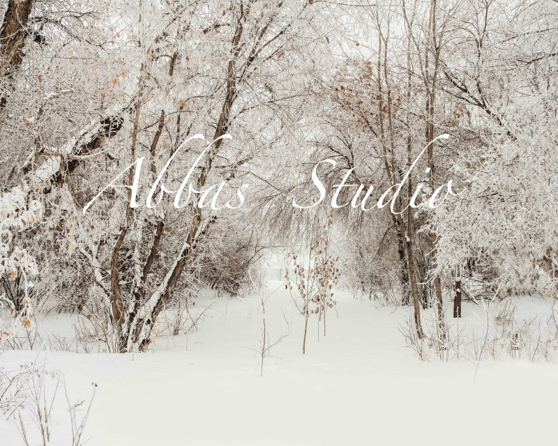 Kate Weihnachten Winter im Freien Birkenhintergrund von Abbas Studio