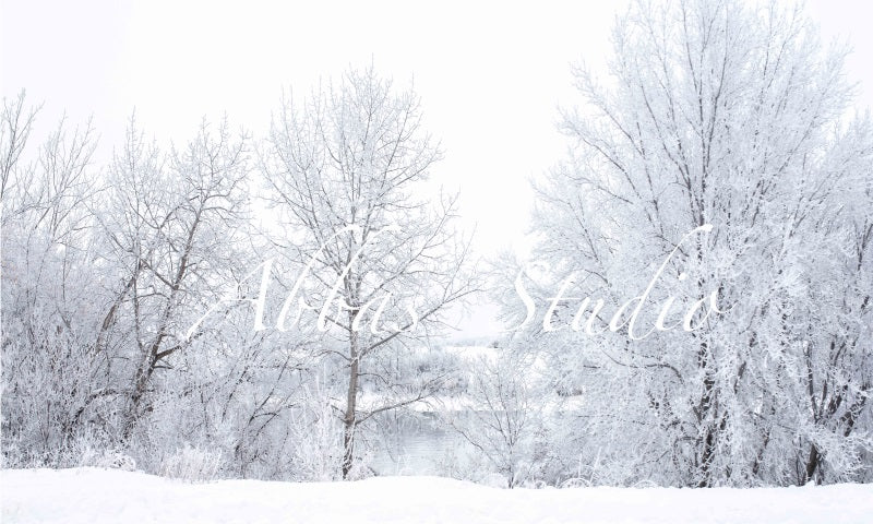 Kate Winter Schnee bedeckt Bäume Hintergrund von Abbas Studio - Kate Backdrop.de