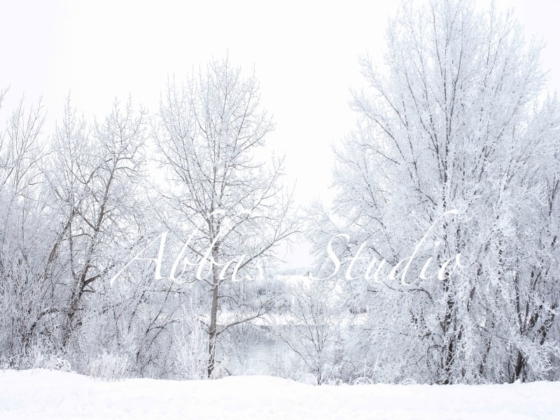 Kate Winter Schnee bedeckt Bäume Hintergrund von Abbas Studio - Kate Backdrop.de