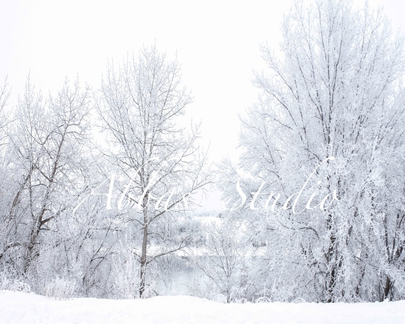 Kate Winter Schnee bedeckt Bäume Hintergrund von Abbas Studio - Kate Backdrop.de