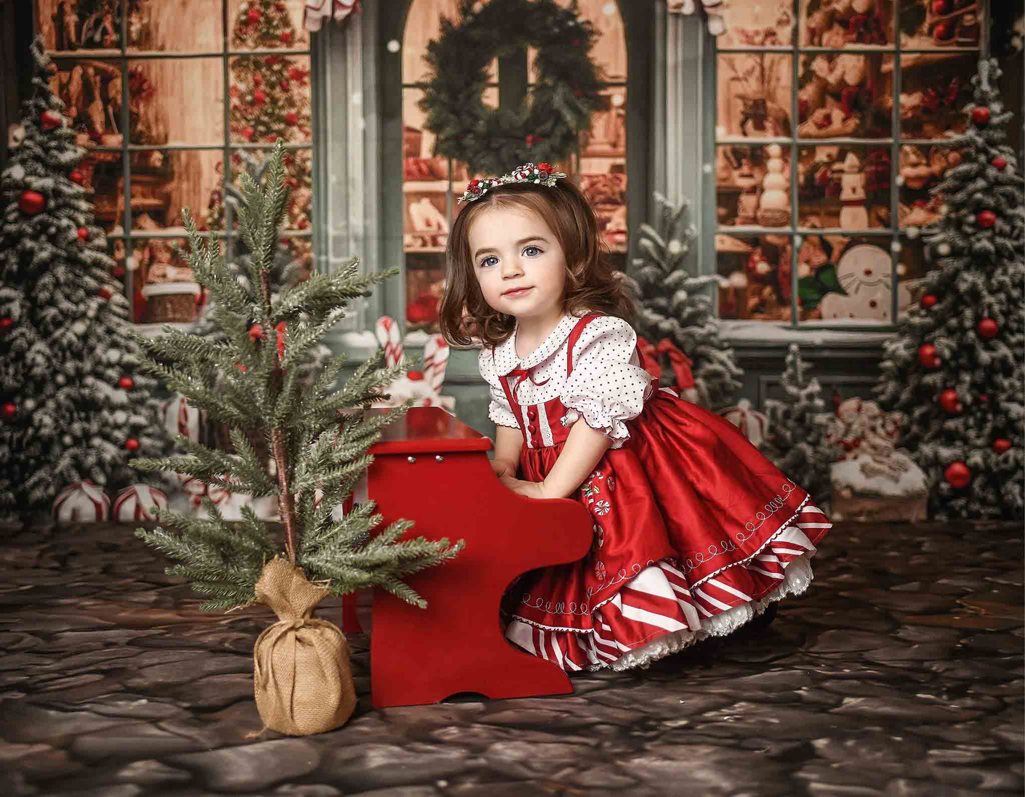 Kate Weihnachtsgeschenkladen im Schnee Fleece Hintergrund - Kate Backdrop.de