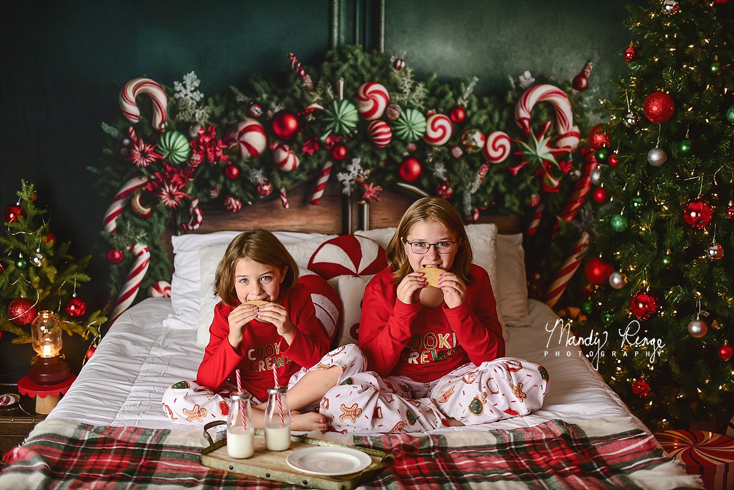 Kate Weihnachten Candy Cane Kopfteil Hintergrund von Mandy Ringe Fotograf - Kate Backdrop.de