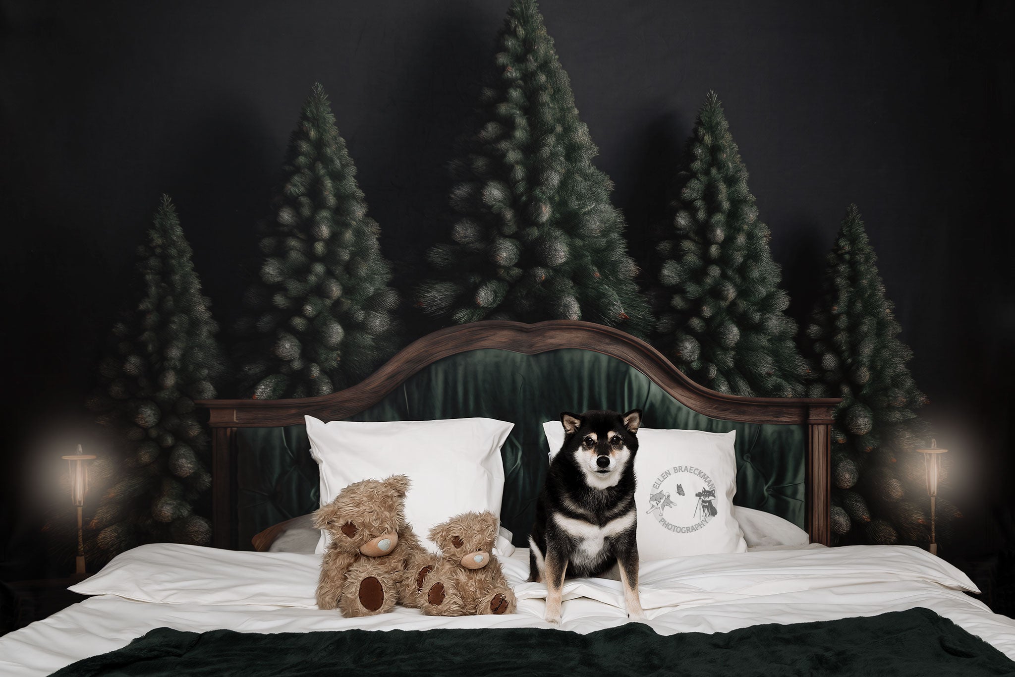 Kate Winter Weihnachten Kiefer Kopfteil Hintergrund von Mandy Ringe Fotograf - Kate Backdrop.de