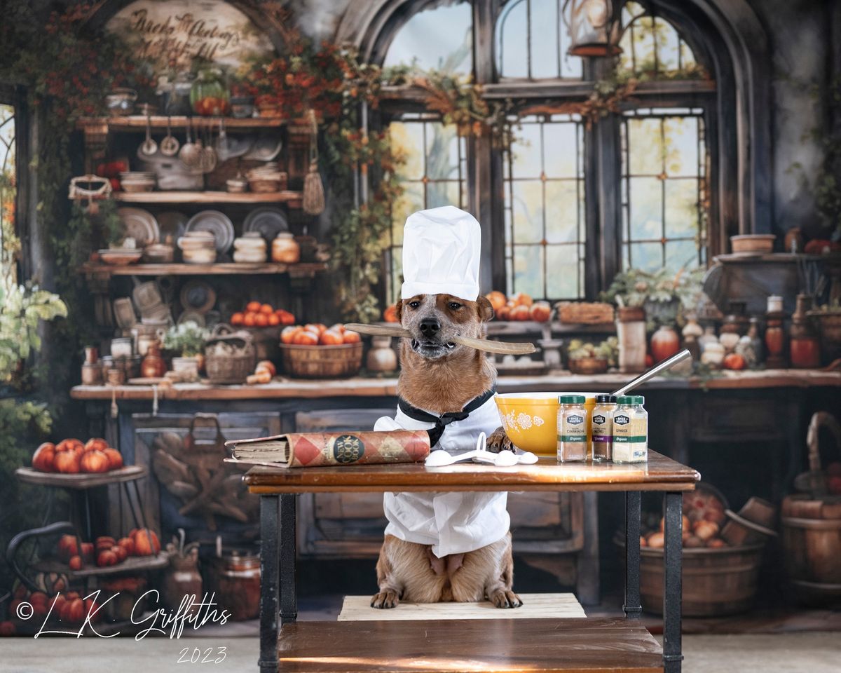 Kate Retro Herbst gemalt Küche Hintergrund von Emetselch - Kate Backdrop.de