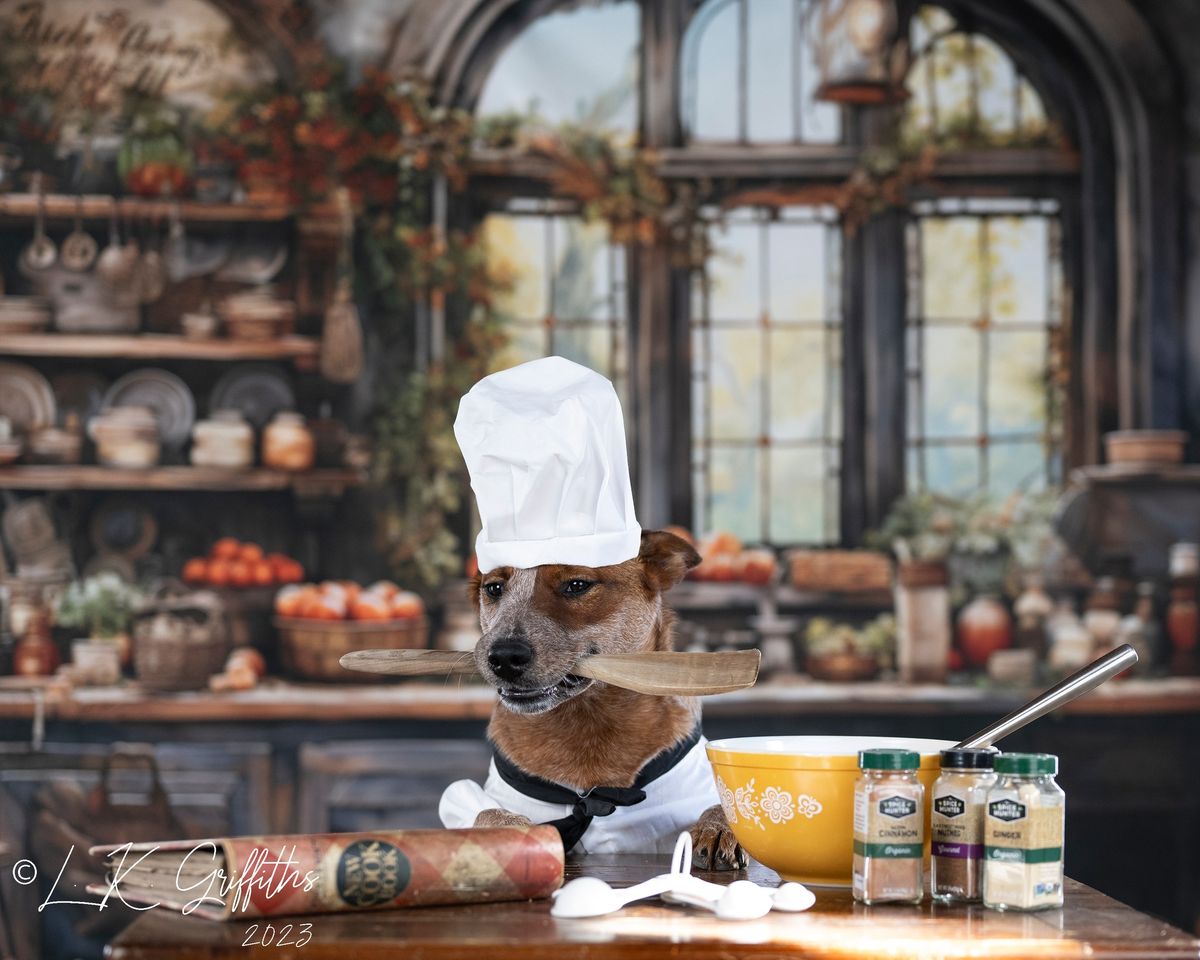 Kate Retro Herbst gemalt Küche Hintergrund von Emetselch - Kate Backdrop.de