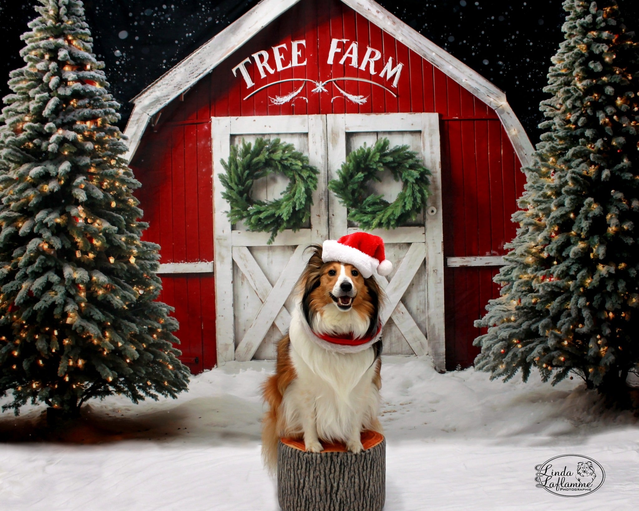 Kate Winter Weihnachten Bauernhof Rote Scheune Hintergrund von Chain Photography - Kate Backdrop.de