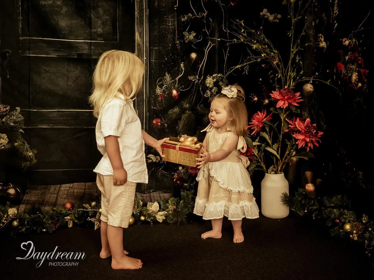 Kate Weihnachten Stechpalme Fenster Tür Schwarz Zimmer Set(8ftx8ft&10ftx8ft&8ftx10ft) - Kate Backdrop.de