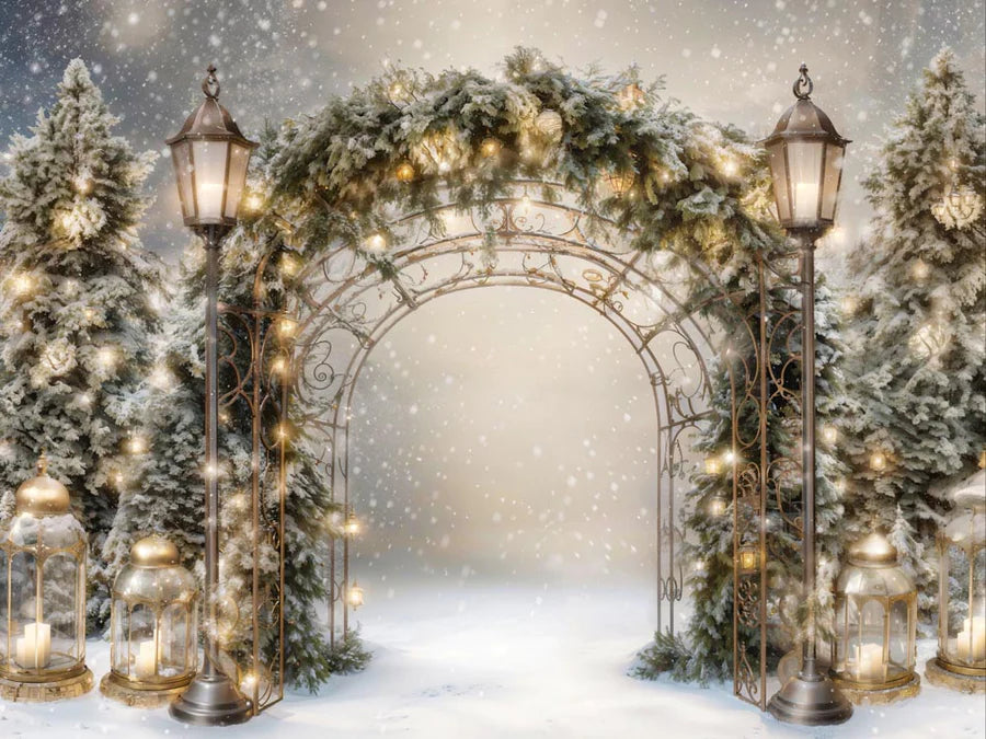 Kate Winter Weihnachten Zweig Bogen Hintergrund von Emetselch - Kate Backdrop.de