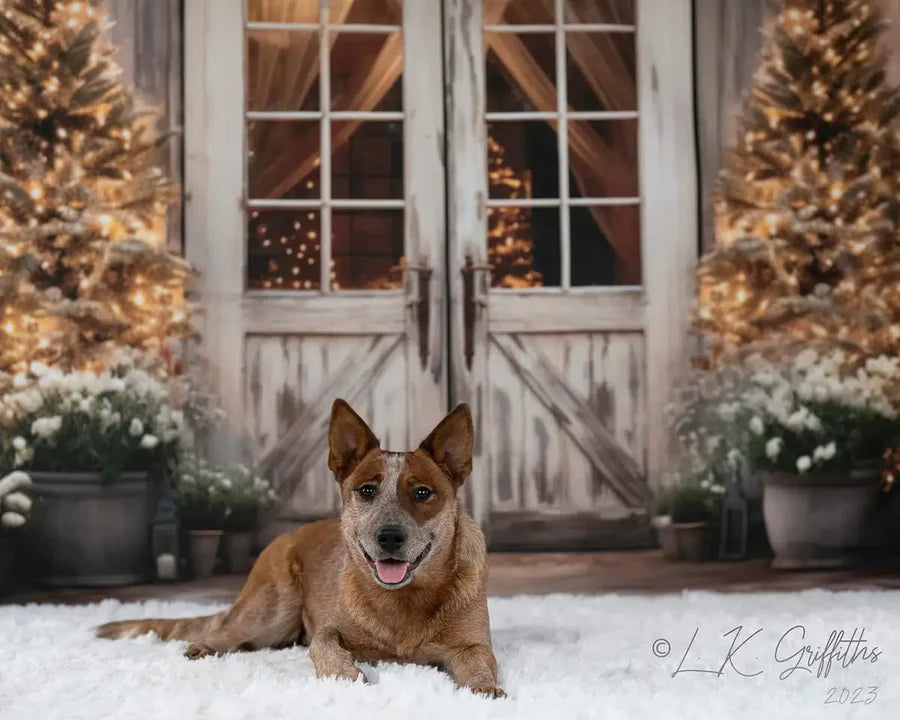 Kate Weihnachten-Scheune mit Lichtern und Weihnachtsbaum als Hintergrund von Emetselch