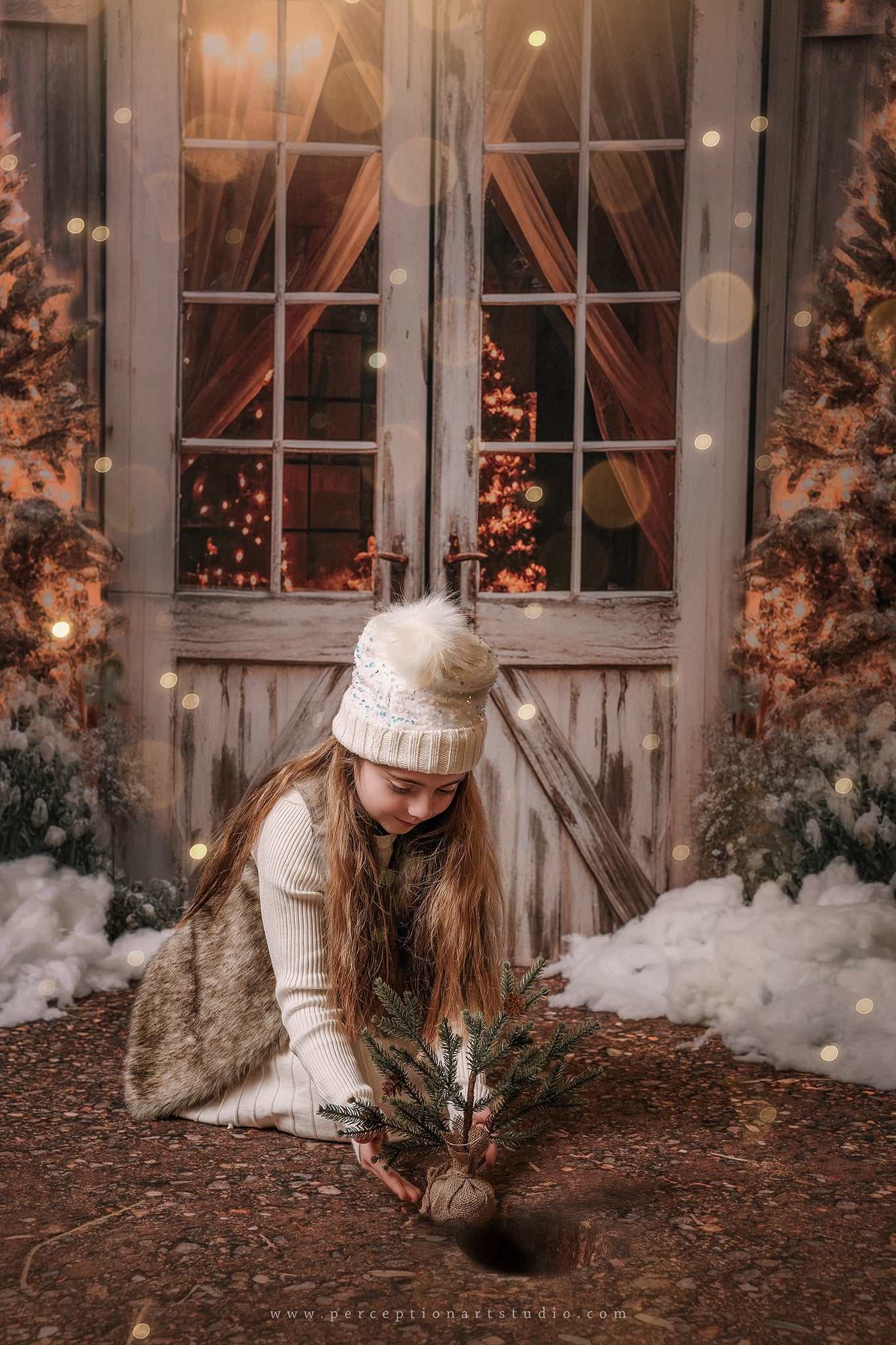 Kate Weihnachten Scheune mit Lichtern und Weihnachtsbaum Hintergrund entworfen von Emetselch - Kate Backdrop.de