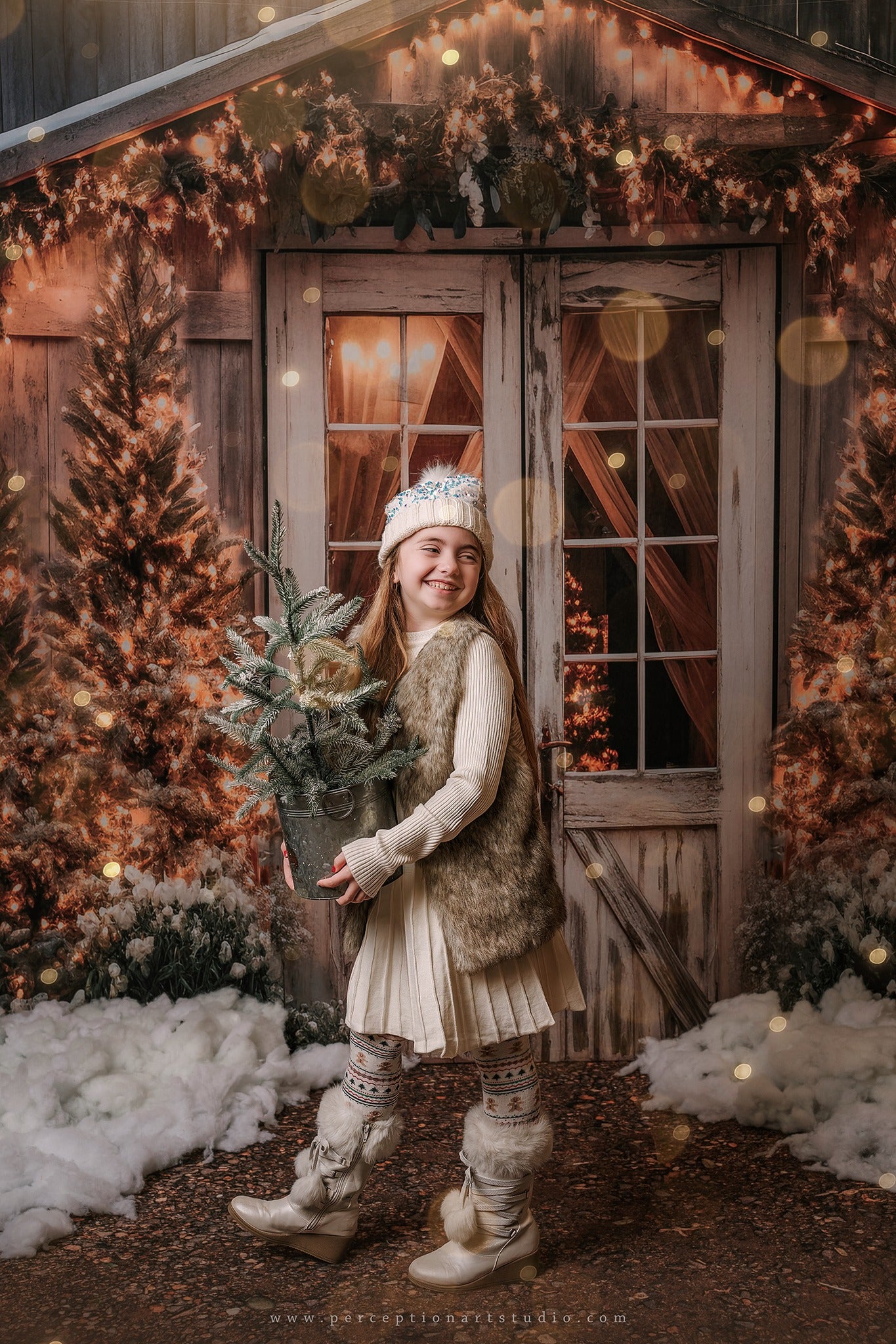 Kate Weihnachten Scheune mit Lichtern und Weihnachtsbaum Hintergrund entworfen von Emetselch - Kate Backdrop.de