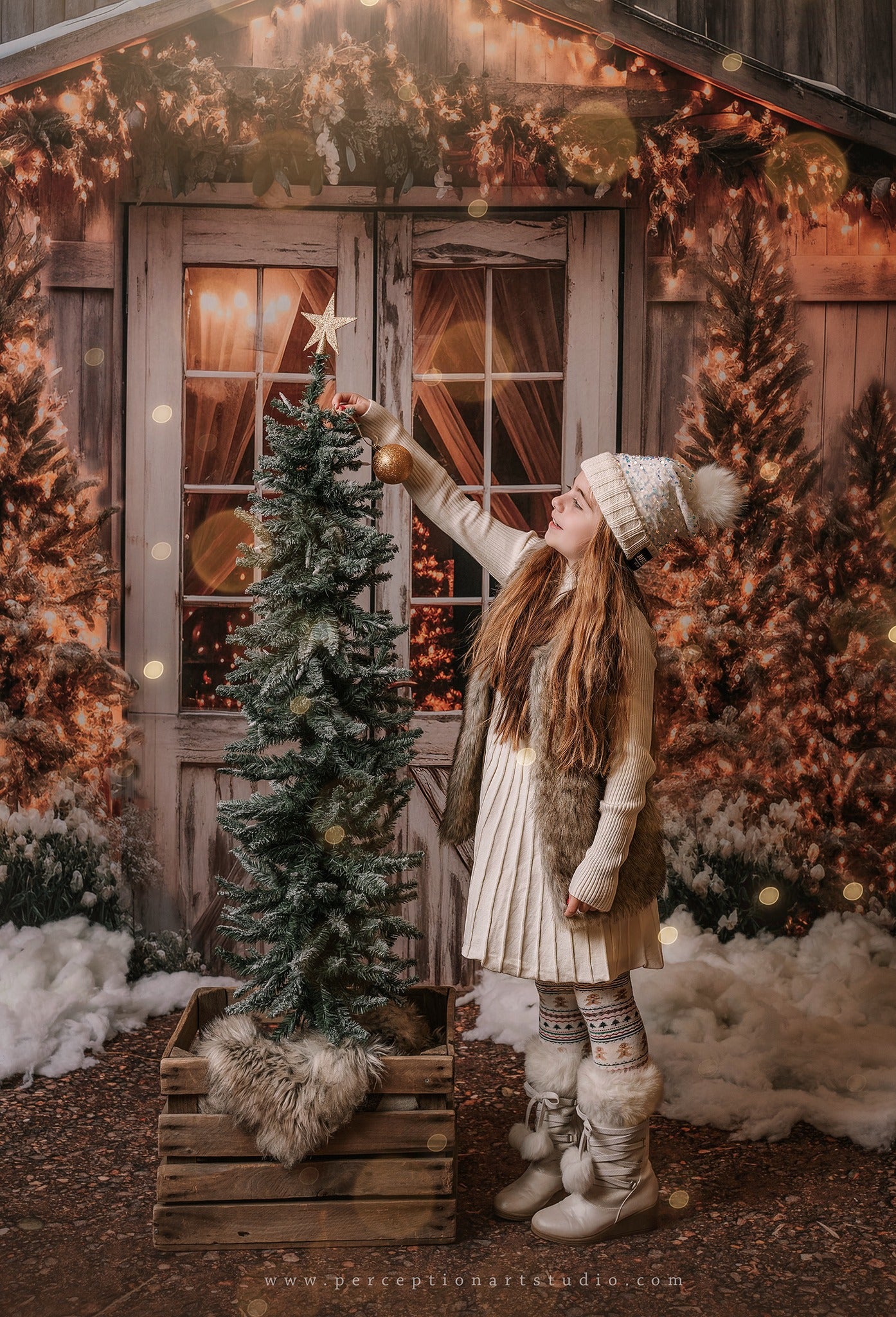 Kate Weihnachten Scheune mit Lichtern und Weihnachtsbaum Hintergrund entworfen von Emetselch - Kate Backdrop.de