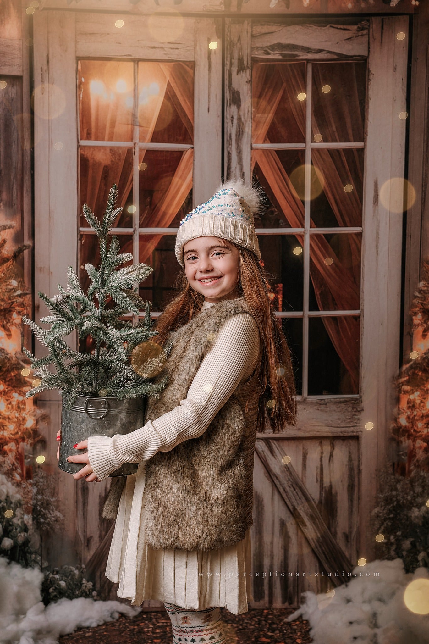 Kate Weihnachten Scheune mit Lichtern und Weihnachtsbaum Hintergrund entworfen von Emetselch - Kate Backdrop.de