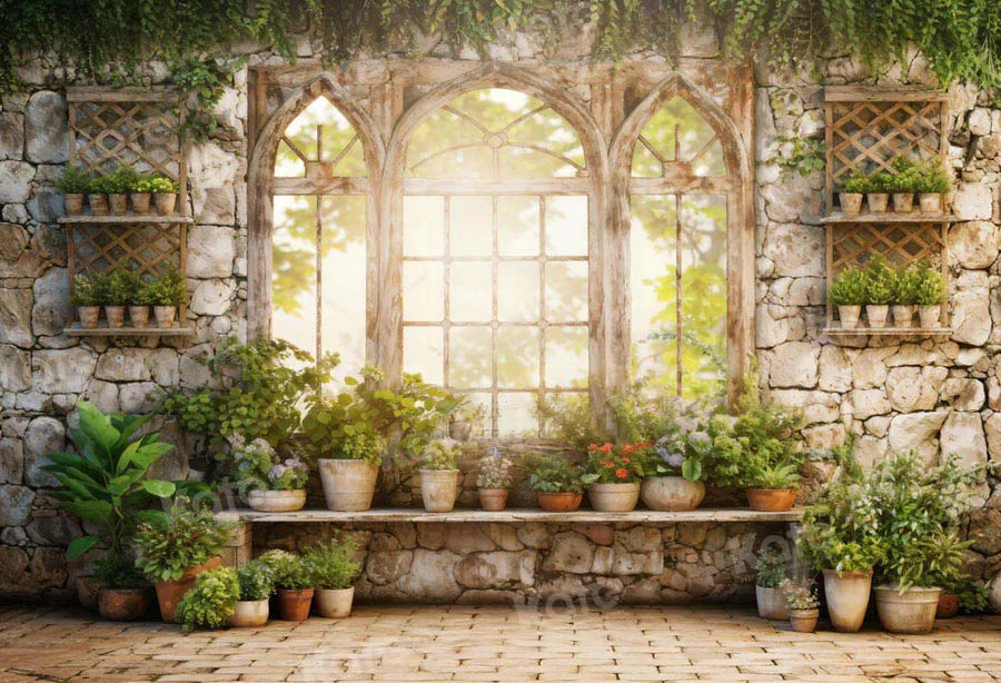 Kate Frühling Grüne Pflanzen Sonniges Fenster Hintergrund Von Chain Photography - Kate Backdrop.de