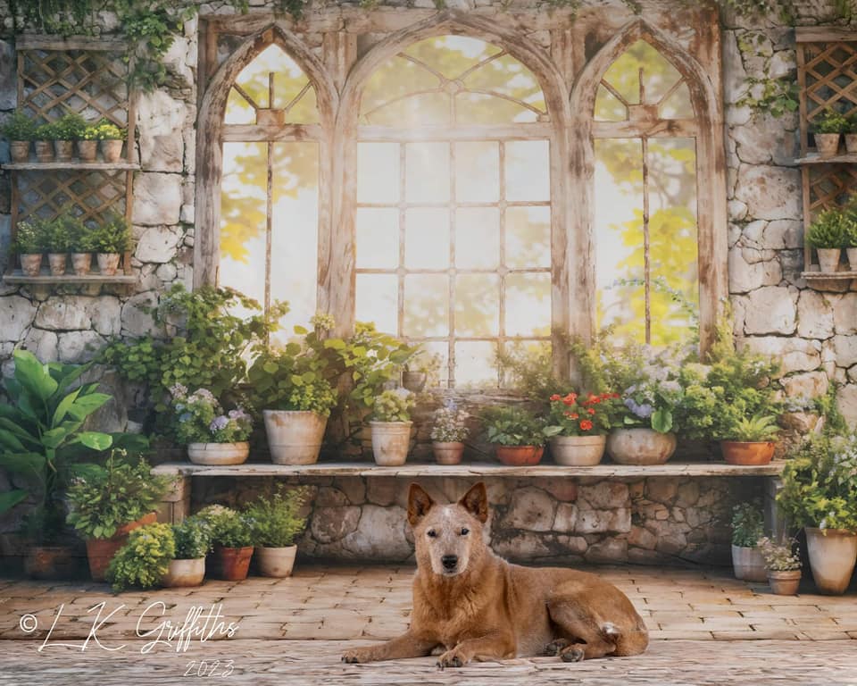 Kate Frühlingsgrüne Pflanzen Sonniger Fenster Hintergrund+Robuste gemusterte Pfad Boden Hintergrund