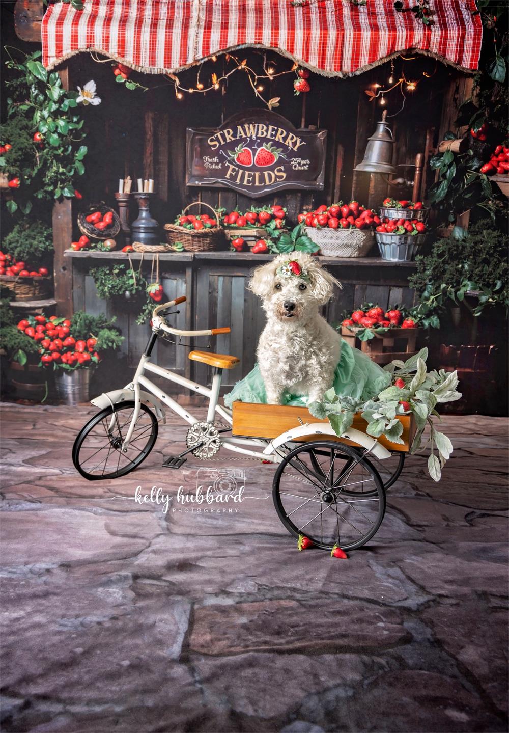 Kate Frühling Pflanze Grünes Erdbeerfeld Hintergrund Entworfen von Emetselch - Kate Backdrop.de