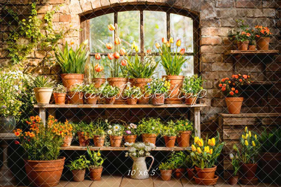 Kate Frühling Grün Pflanze Fenster Zimmer Hintergrund von Emetselch - Kate Backdrop.de