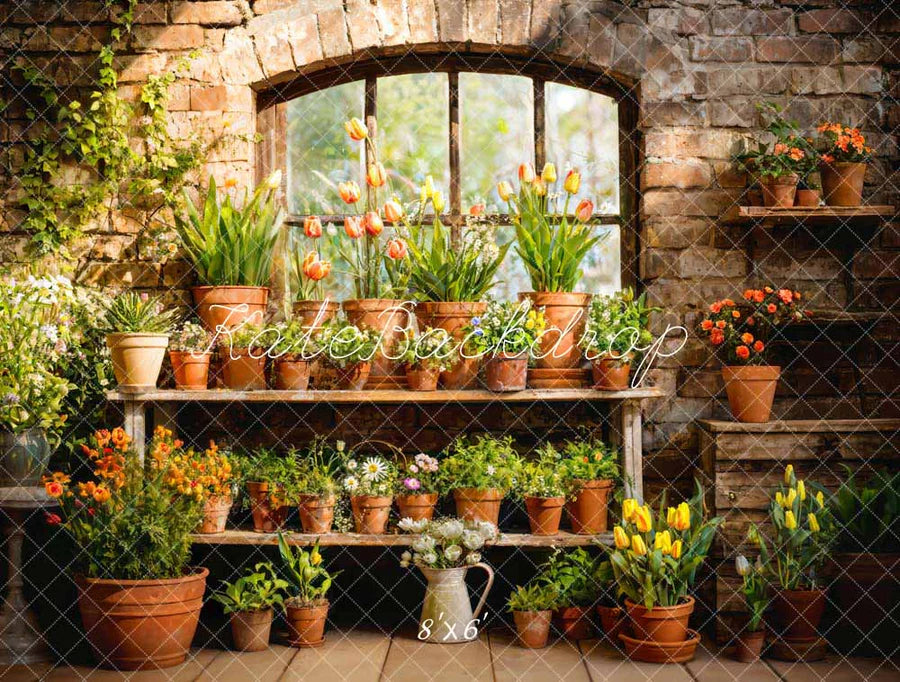 Kate Frühling Grün Pflanze Fenster Zimmer Hintergrund von Emetselch - Kate Backdrop.de