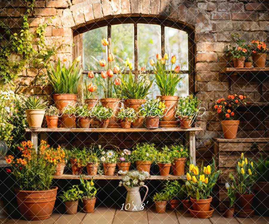 Kate Frühling Grün Pflanze Fenster Zimmer Hintergrund von Emetselch - Kate Backdrop.de