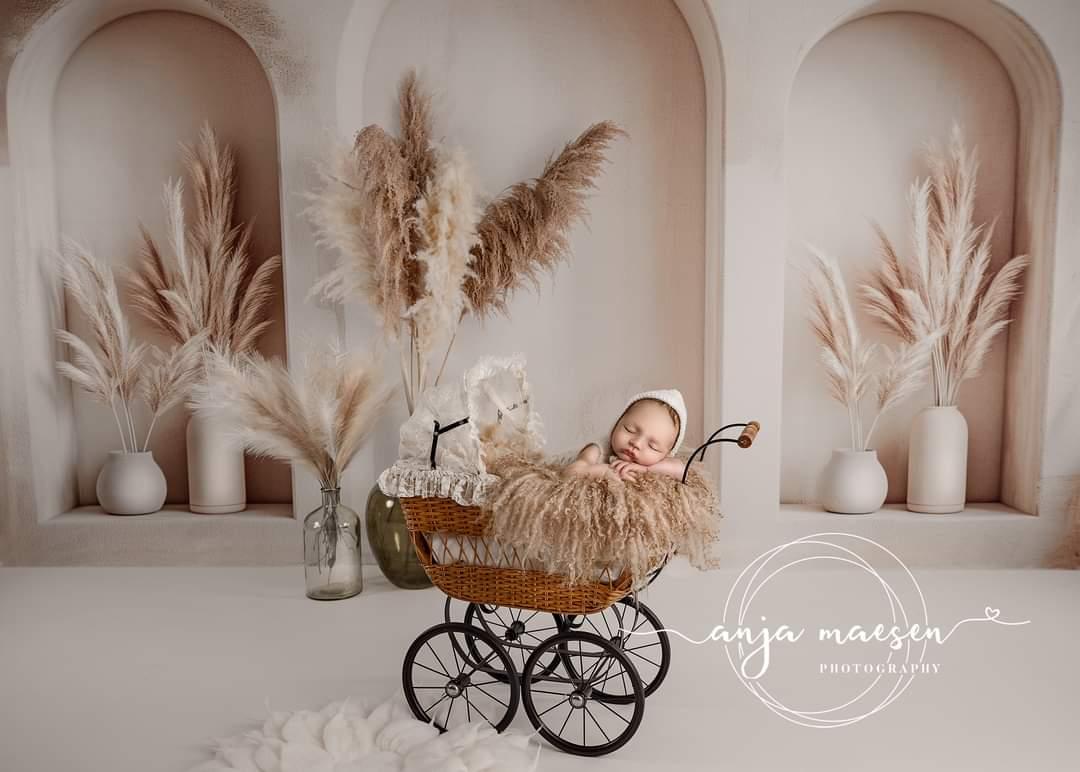 Kate Beige Bogen Wandhintergrund von Patty Roberts - Kate Backdrop.de