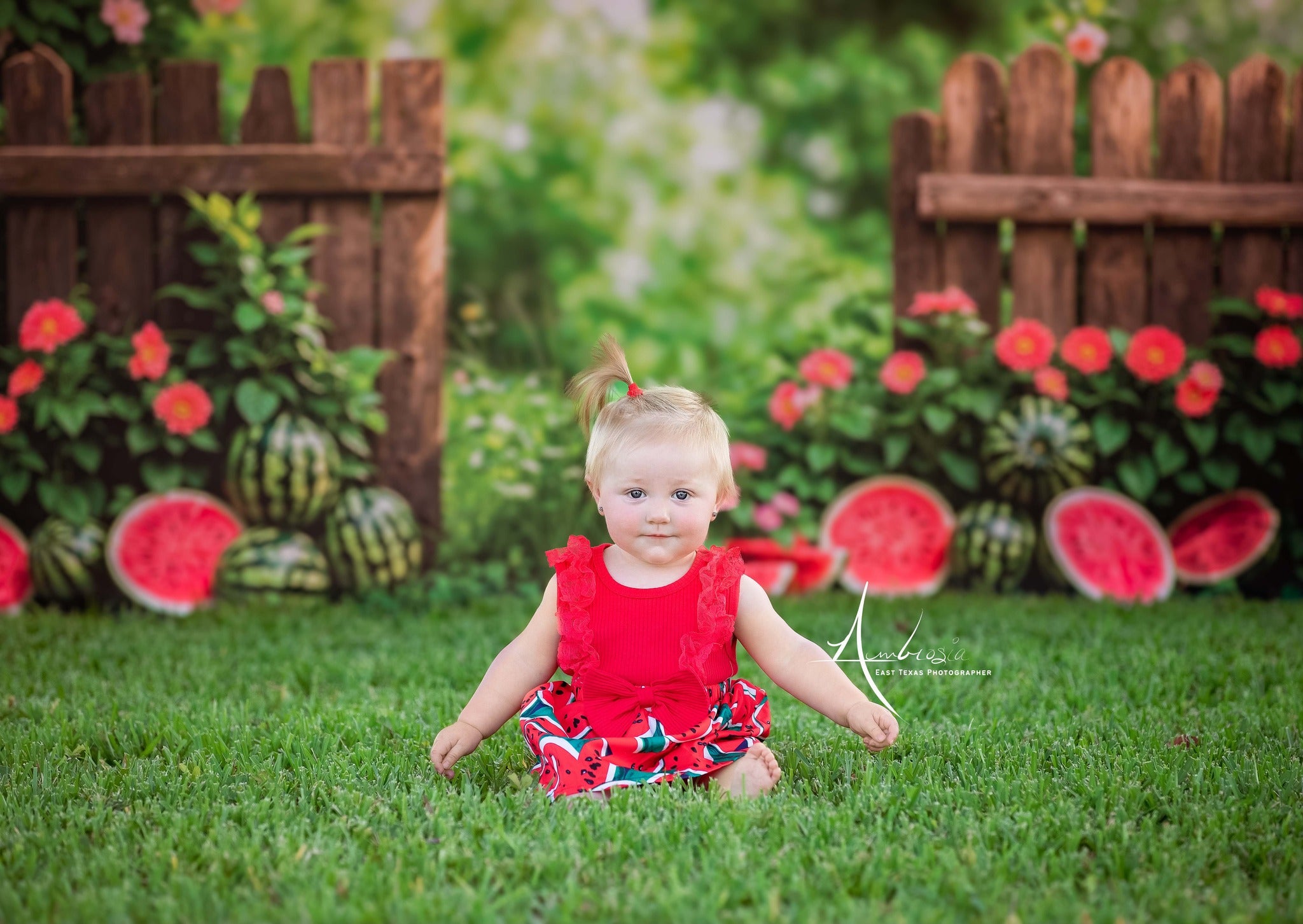 Kate Sommer Bokeh Grün Pflanze Bunte Blume Wassermelone Braun Zaun Hintergrund Entworfen von Emetselch - Kate Backdrop.de